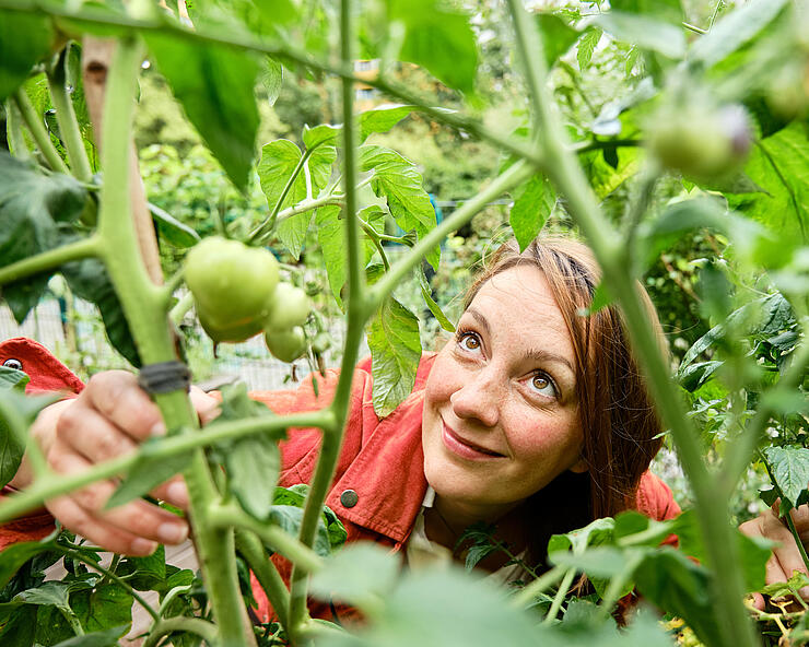 Außenaufnahme zeigt eine GESOBAU-Mitarbeiterin vor Tomatenstauden hockend.