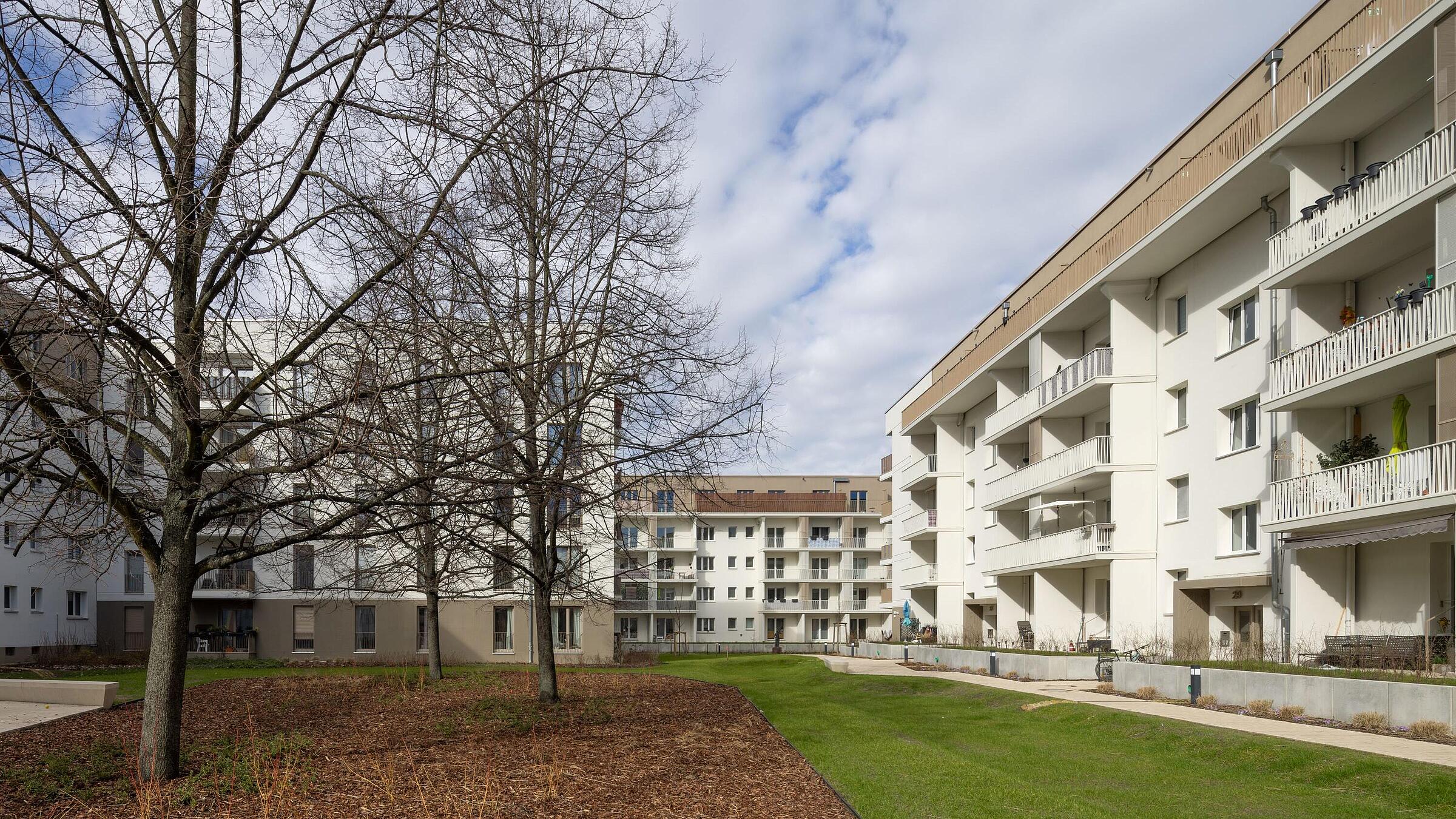 Bild zeigt Außenanlagen und Hausfront Stiftsweg/Wolfshagener Straße.