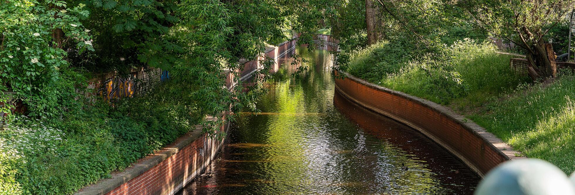 Die Außenaufnahme zeigt den Fluss Panke, der durch den Bezirk Mitte Gesundbrunnen fließt. Der Fluss verläuft mittig im Bild und läuft in der Entfernung zusammen. Er ist außerdem umringt von satt-grünen Bäumen, Wiesen und Sträuchern.