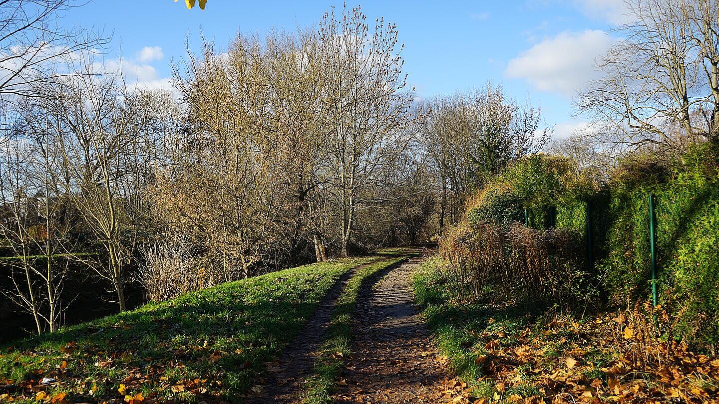 Die Außenaufnahme zeigt eine Naturlandschaft um den Fluss Wuhle in Berlin Marzahn-Hellersdorf. Gesäumt von grünem Gras und Waldflächen führt ein Weg, mittig im Bild gelegen, durch die Natur.  